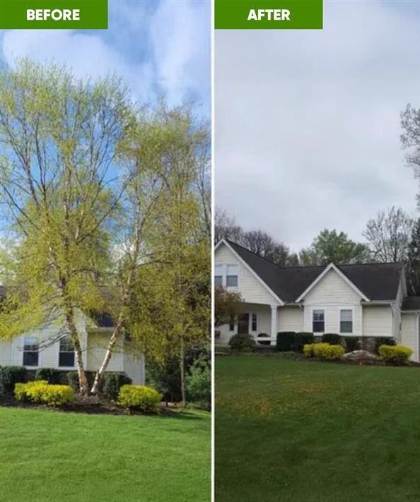 artboard 3 5 1 e1772571731168